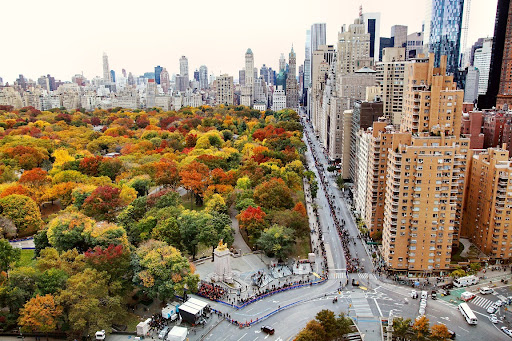 Central Park, Manhattan, New York Desktop Background